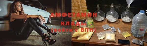 гидра Алексеевка
