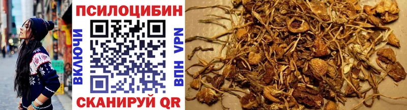 Псилоцибиновые грибы Psilocybe  Хвалынск 