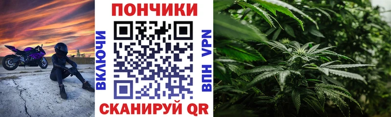Бошки марихуана SATIVA & INDICA  купить закладку  ссылка на мегу ONION  Хвалынск 